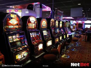 conquistapg - Login Bet Fácil